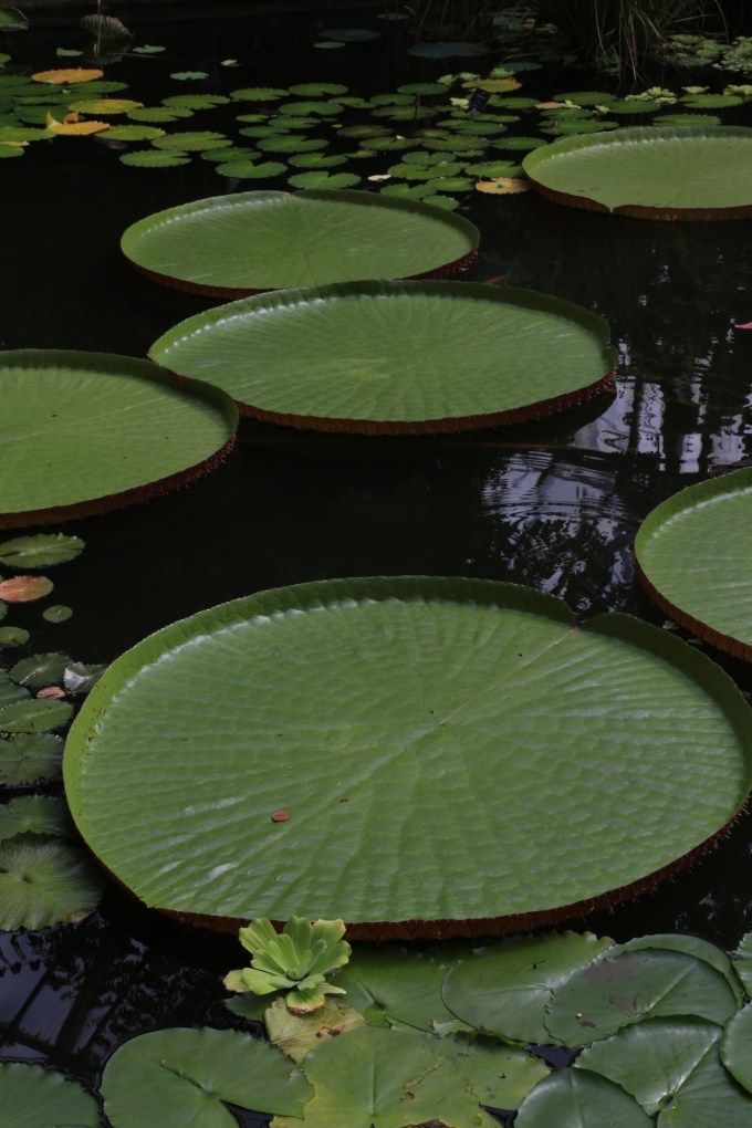 20130808-173458.jpg