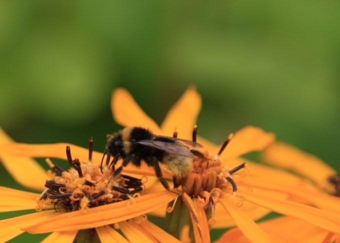 20130808-173524.jpg